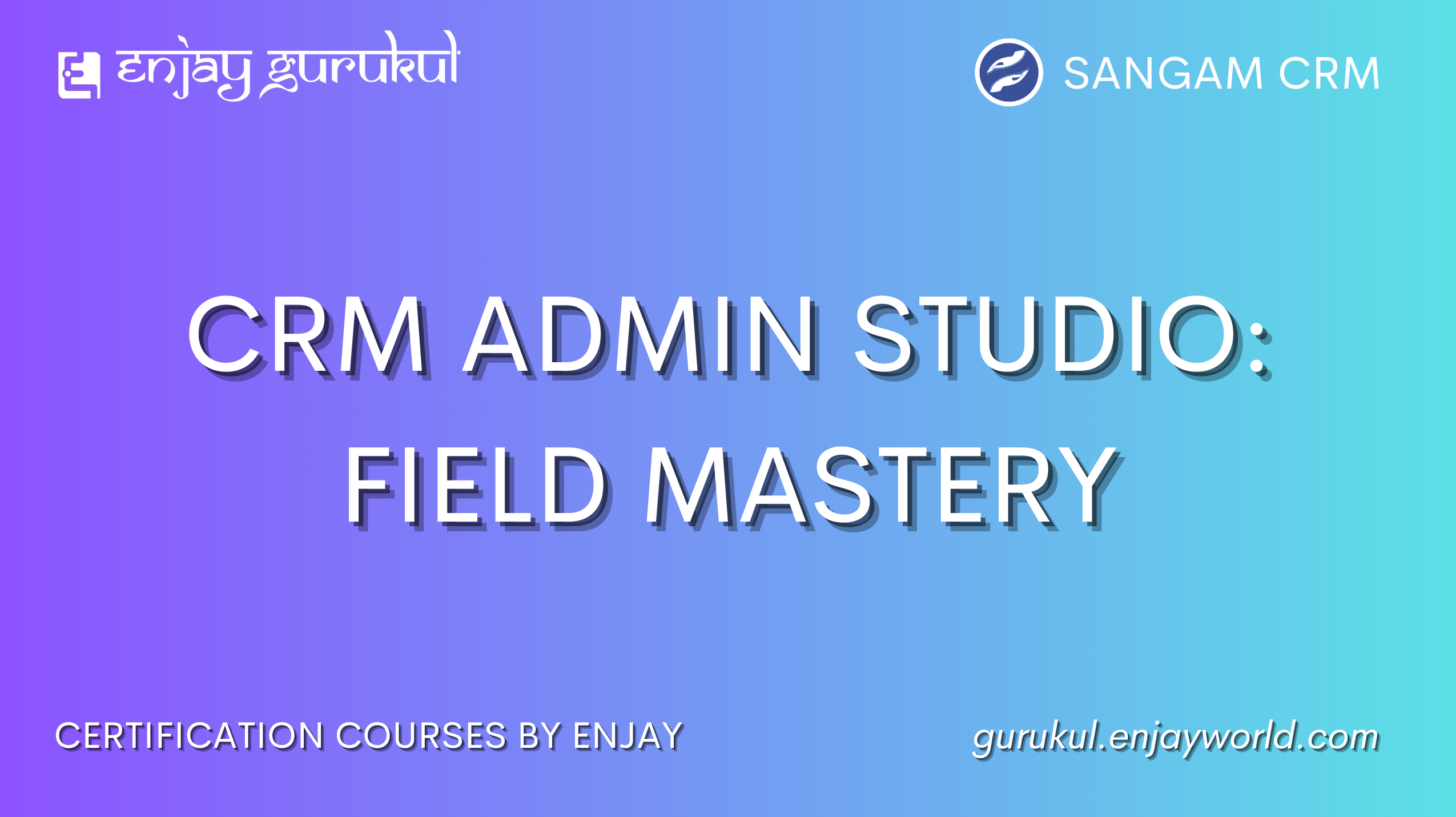 CRM Admin Studio: Field Mastery