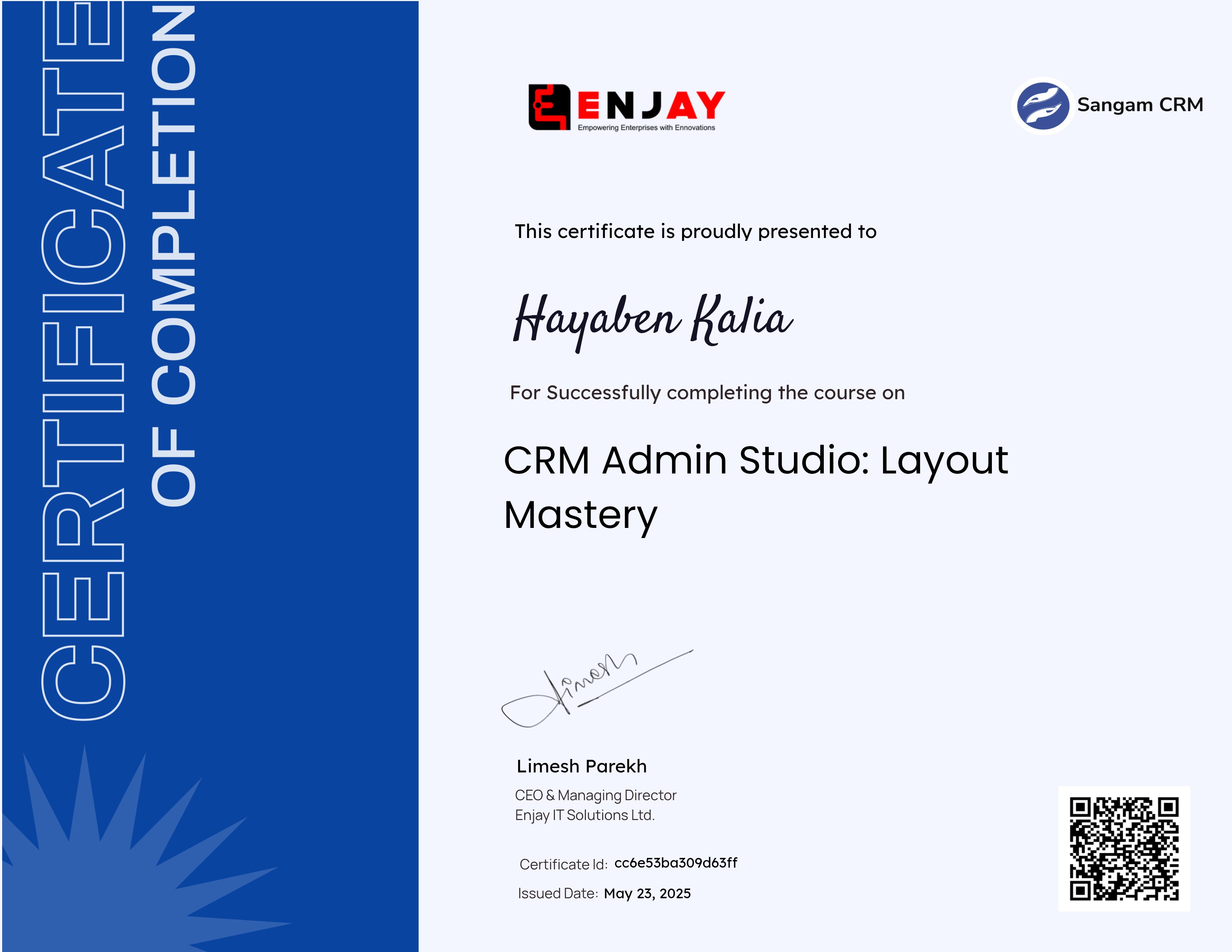 CRM Admin Studio: Layout Mastery