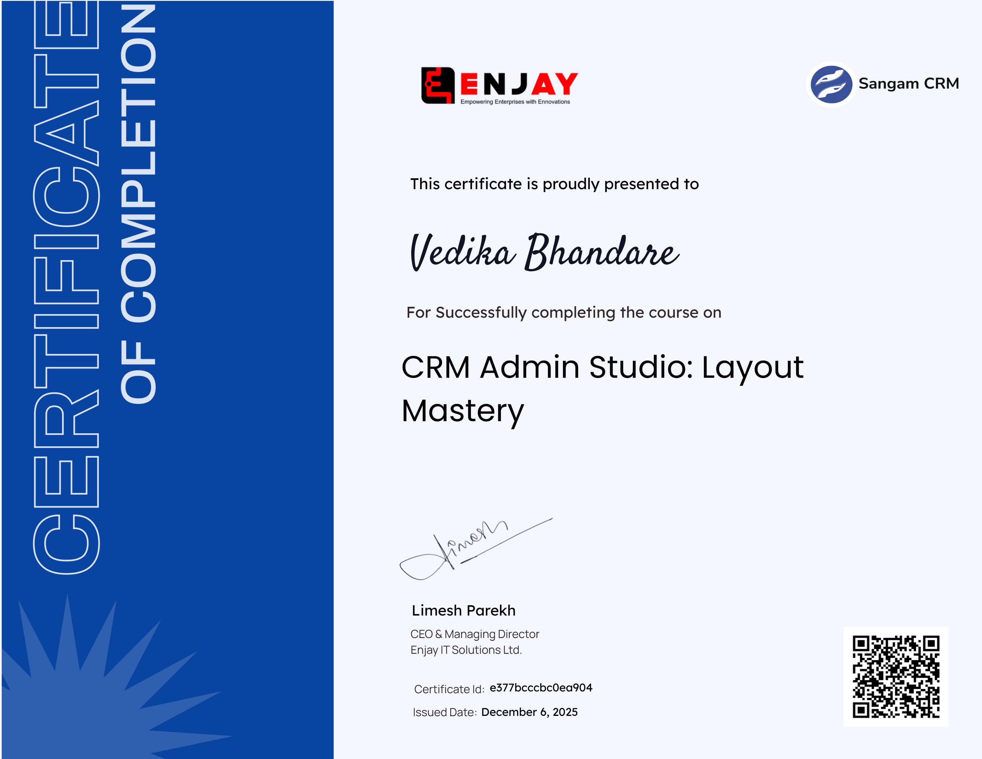 CRM Admin Studio: Layout Mastery