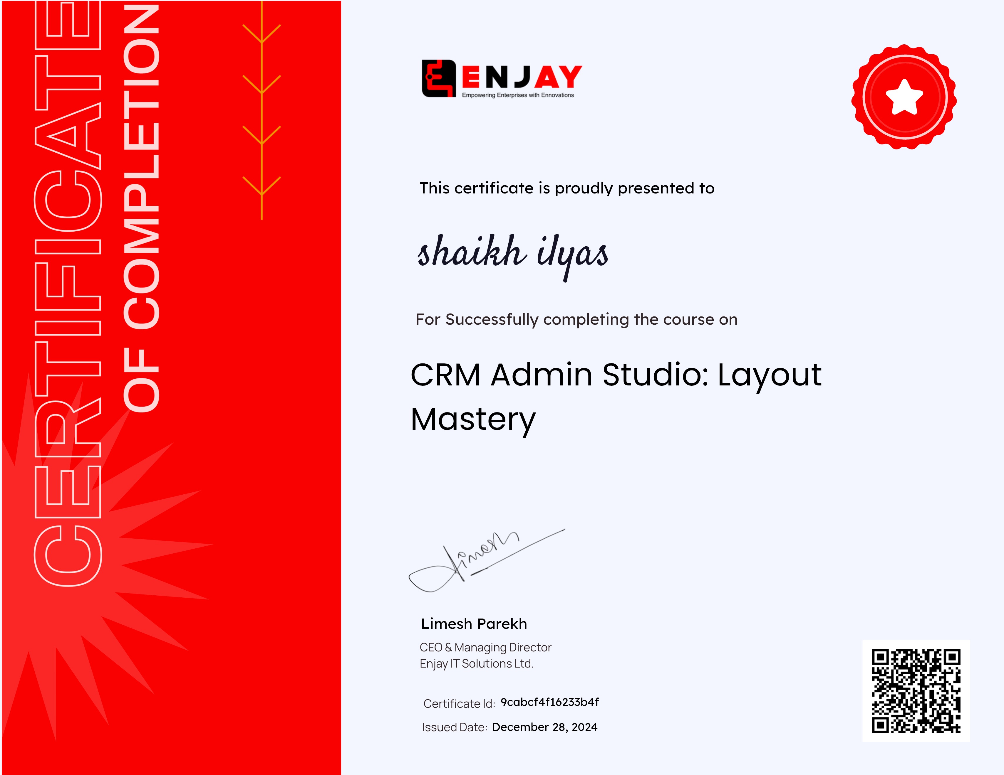 CRM Admin Studio: Layout Mastery