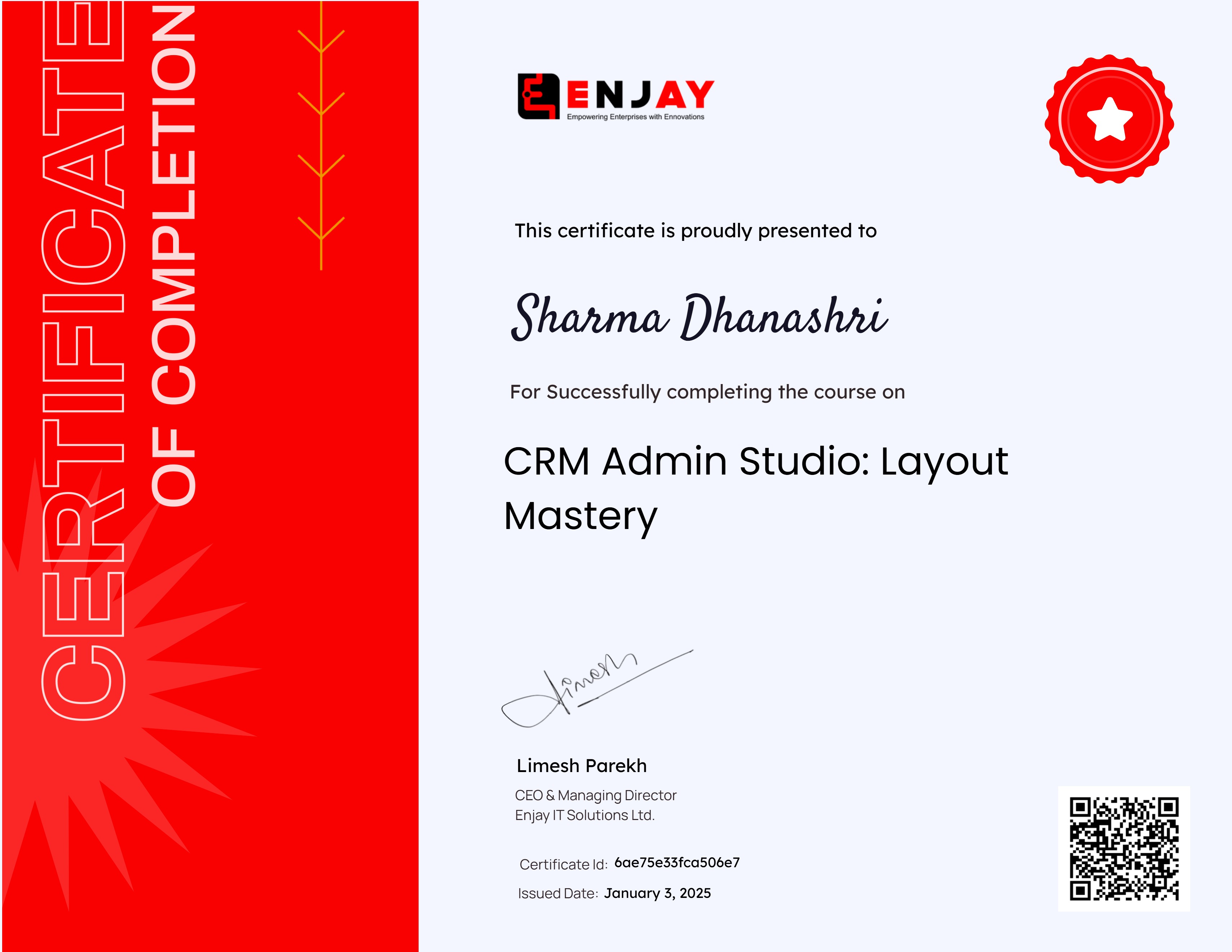 CRM Admin Studio: Layout Mastery